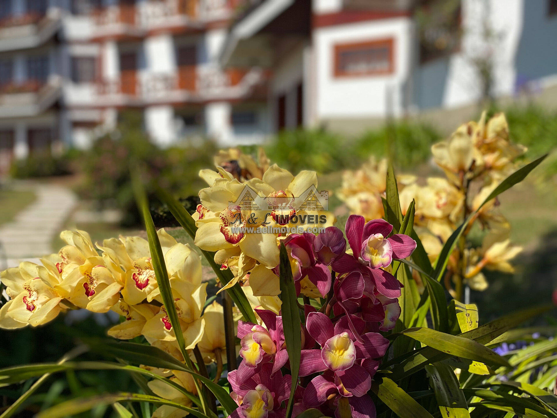 Apartamento, 3 quartos, 229 m² - Foto 2