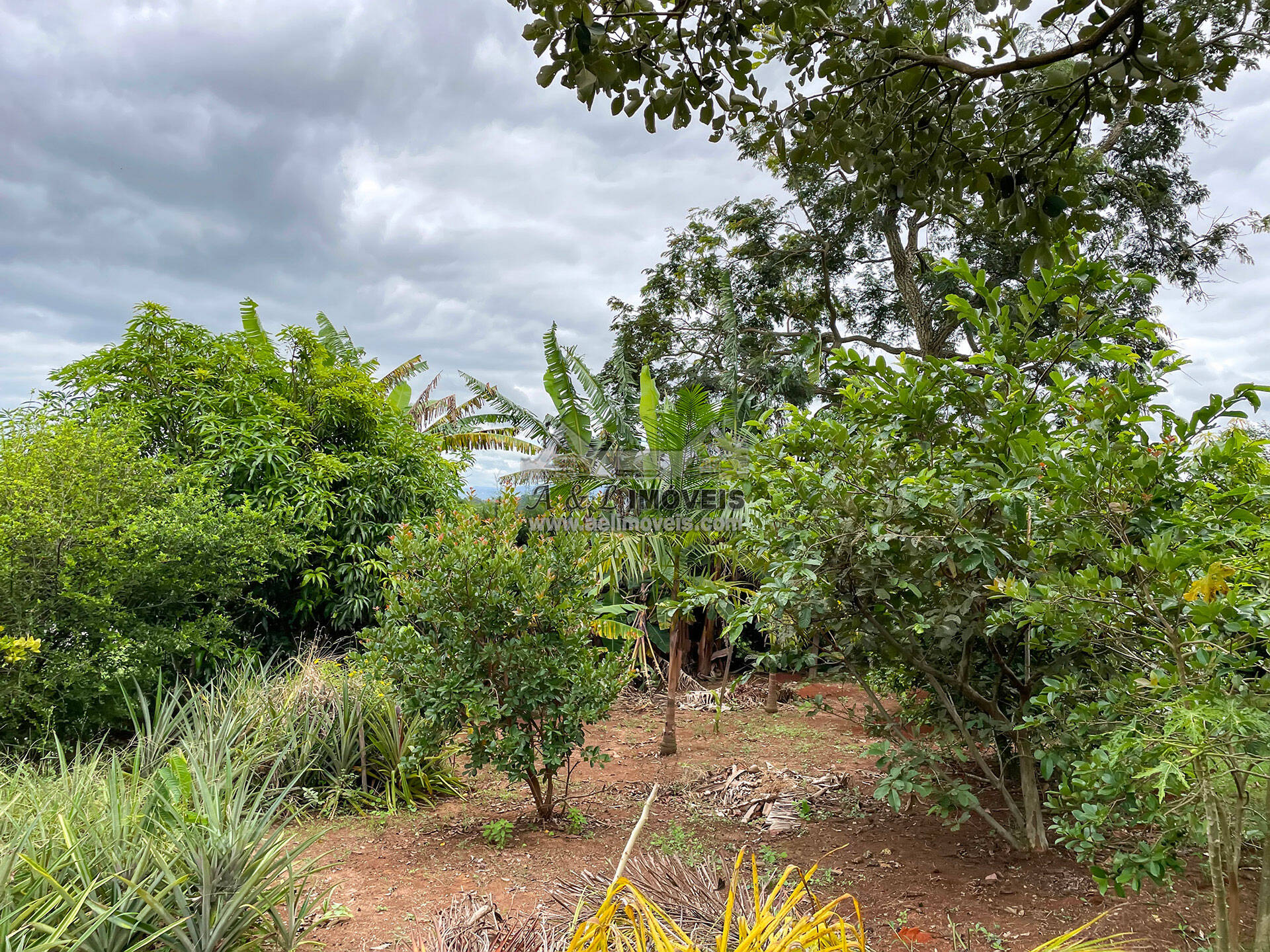 Casa de Condomínio à venda com 3 quartos, 500m² - Foto 56