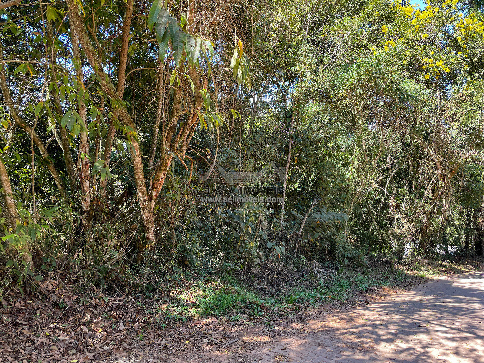 Terreno, 825 m² - Foto 1