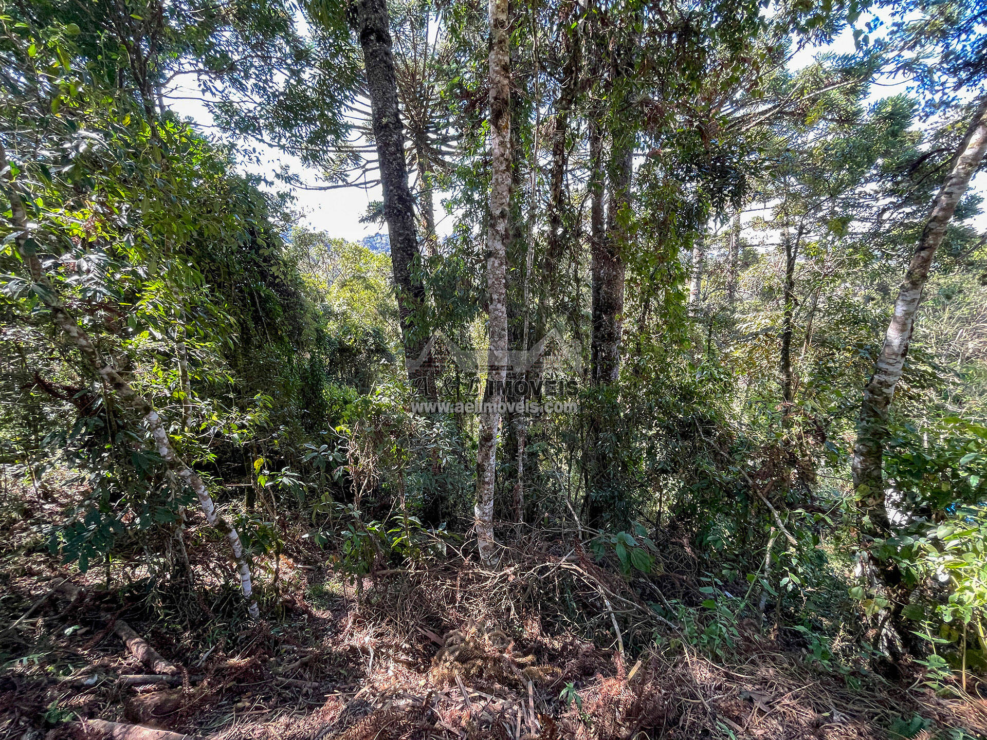 Terreno, 825 m² - Foto 5