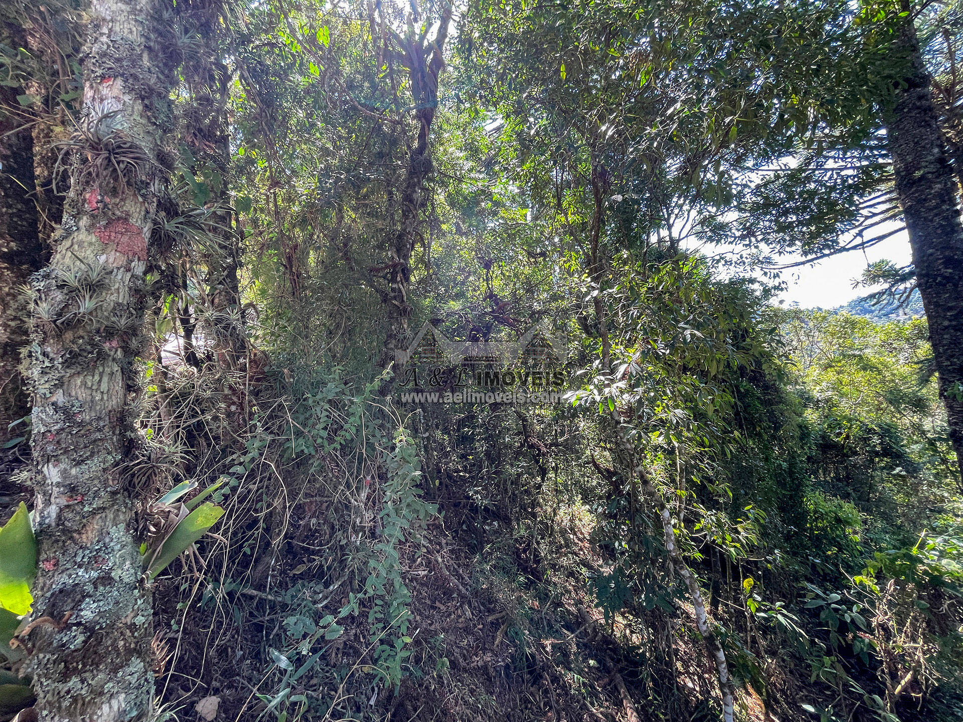 Terreno, 825 m² - Foto 6