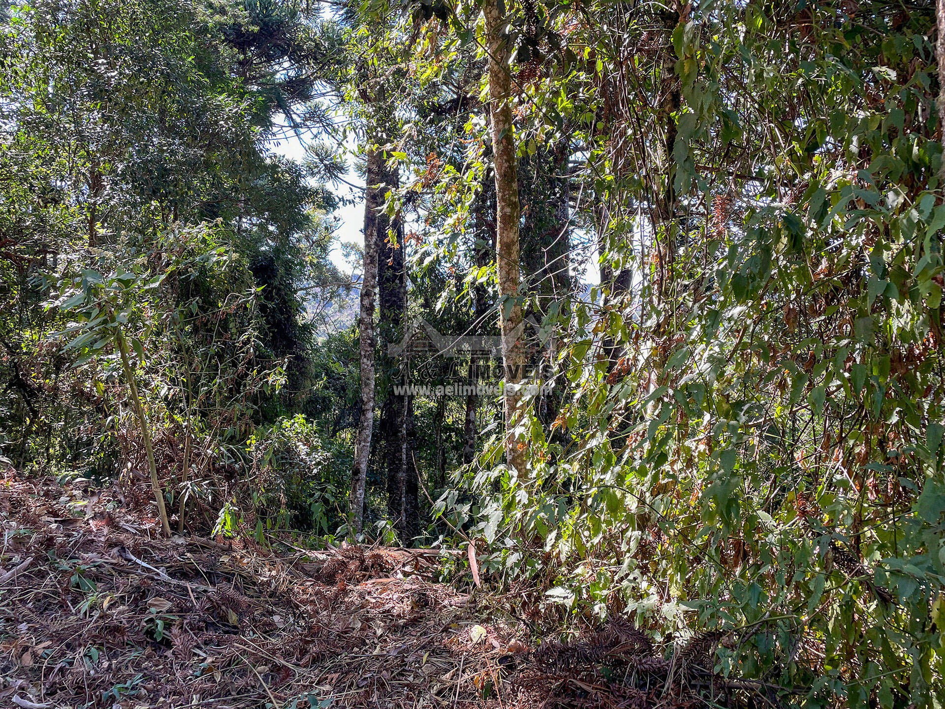 Terreno, 825 m² - Foto 7