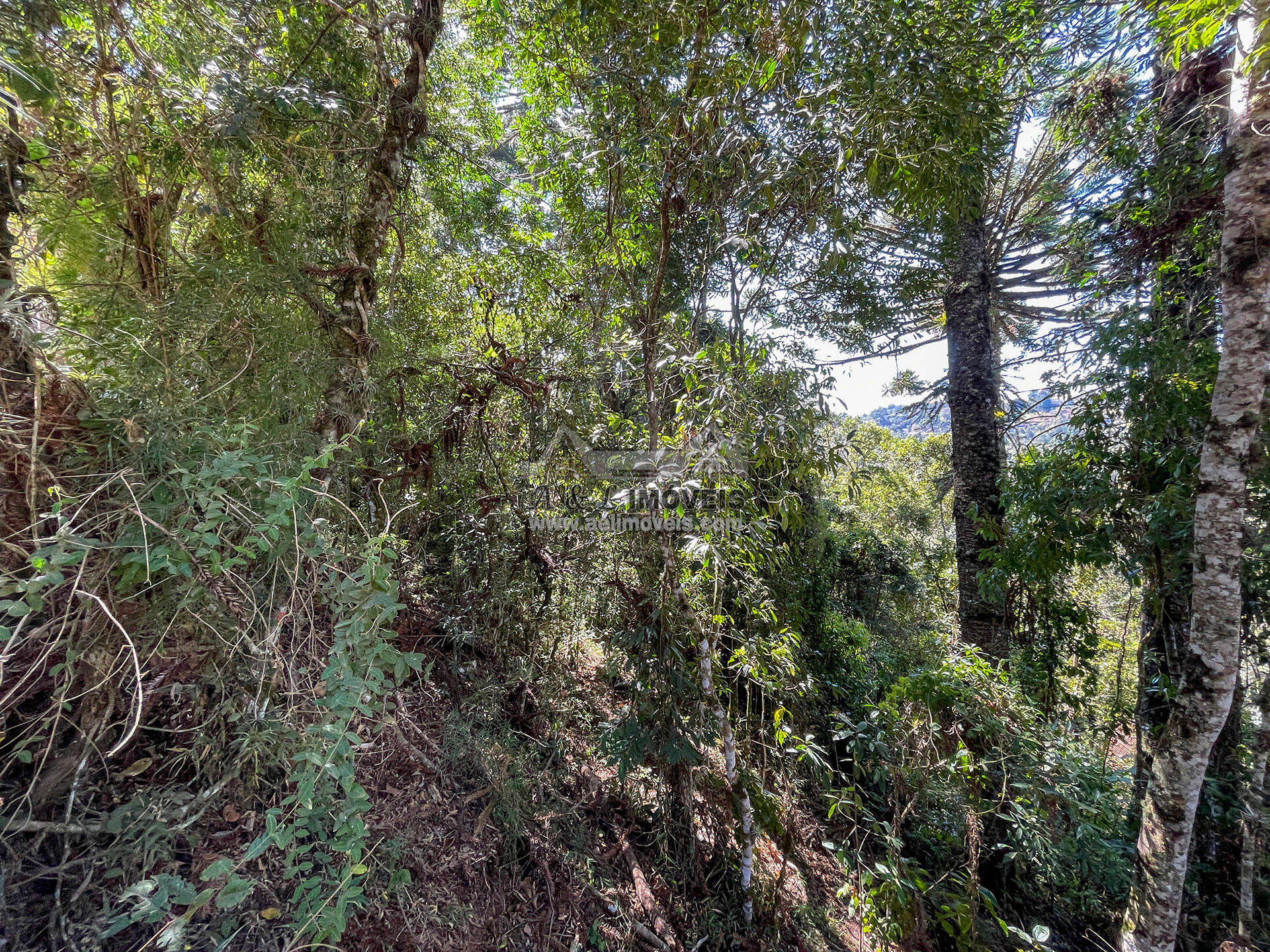 Terreno, 825 m² - Foto 9