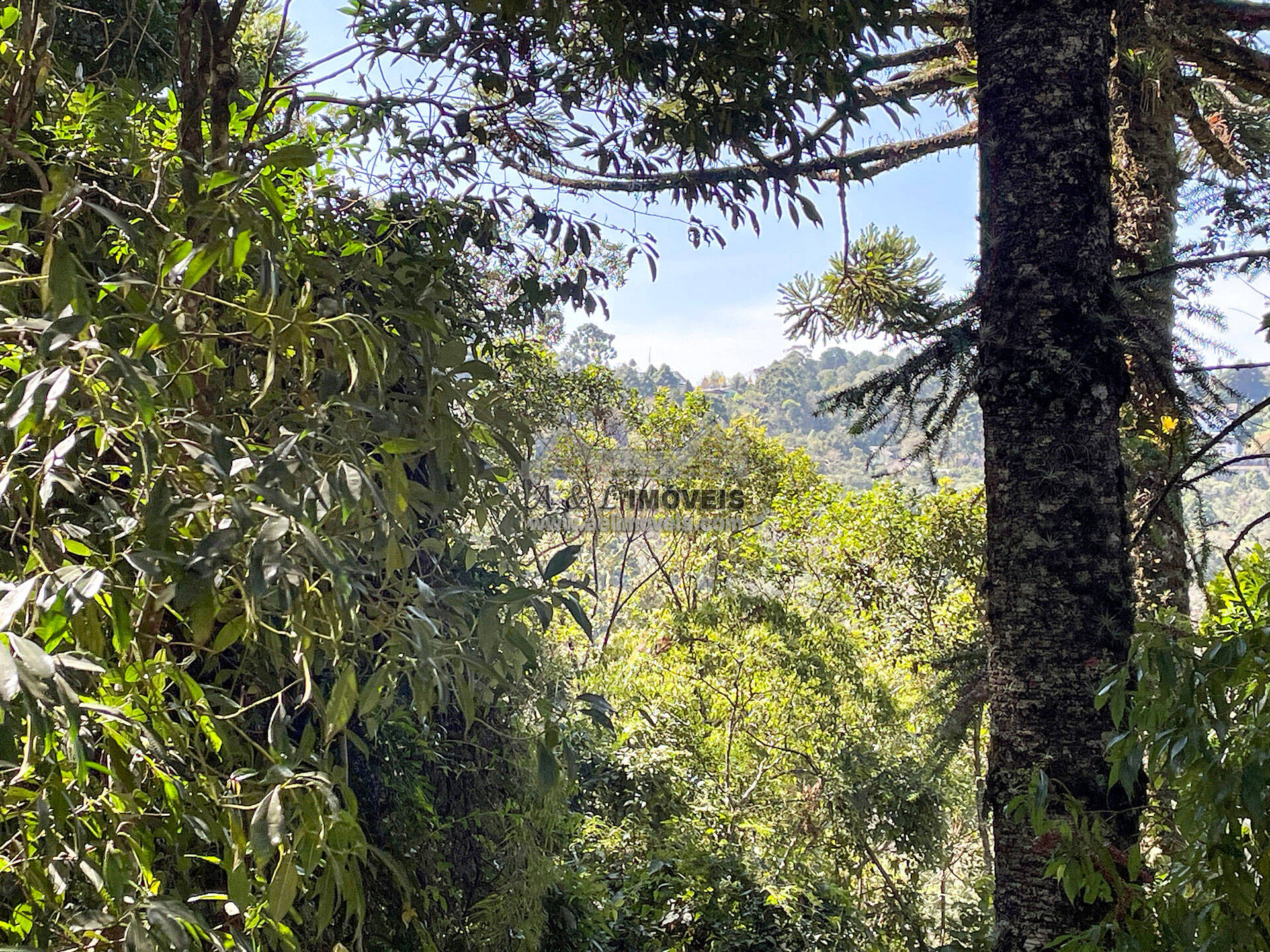 Terreno, 825 m² - Foto 11