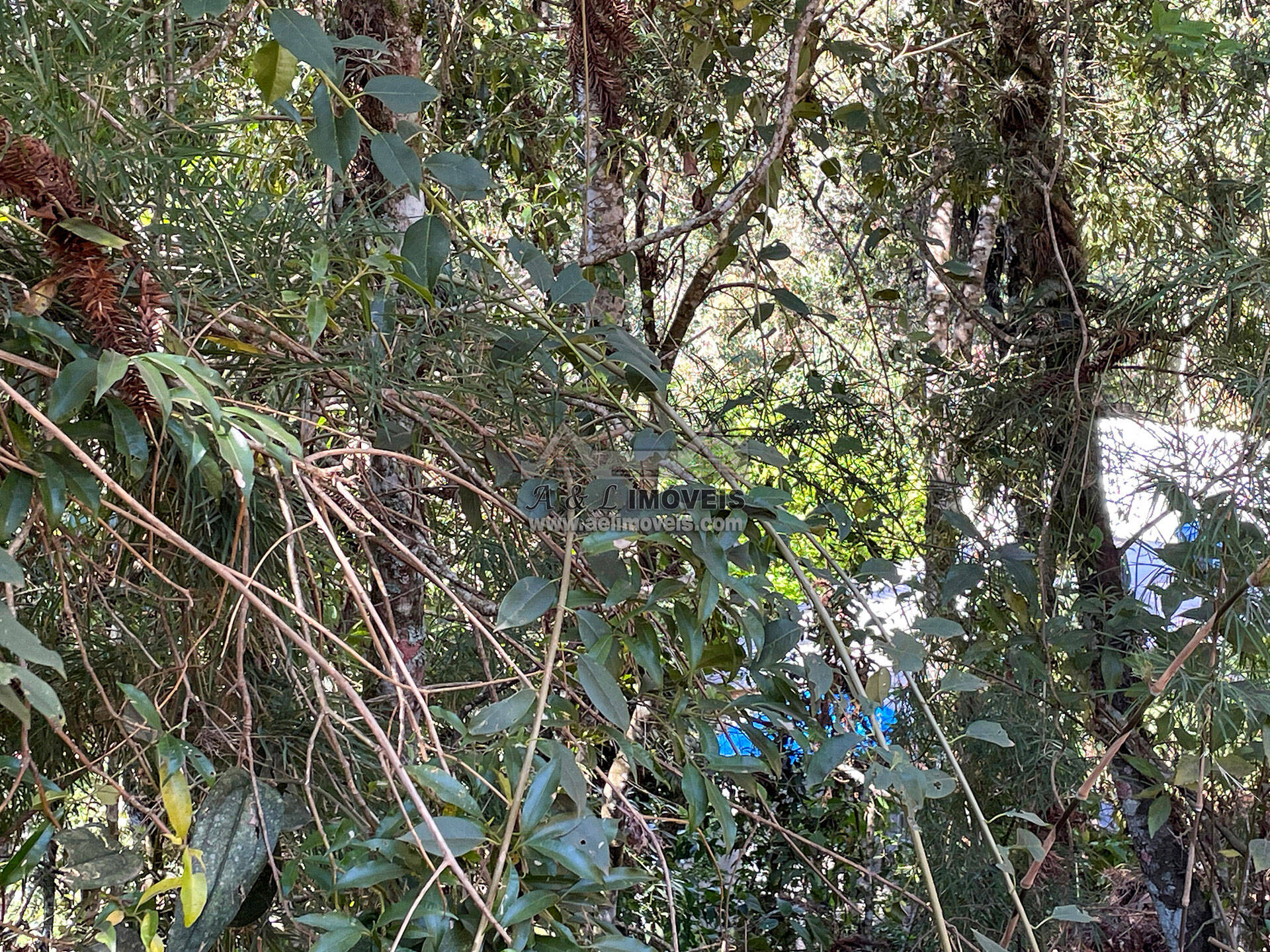 Terreno, 825 m² - Foto 12