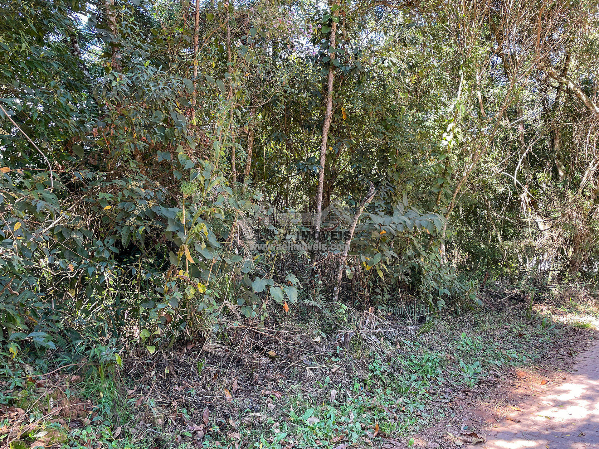 Terreno, 825 m² - Foto 14