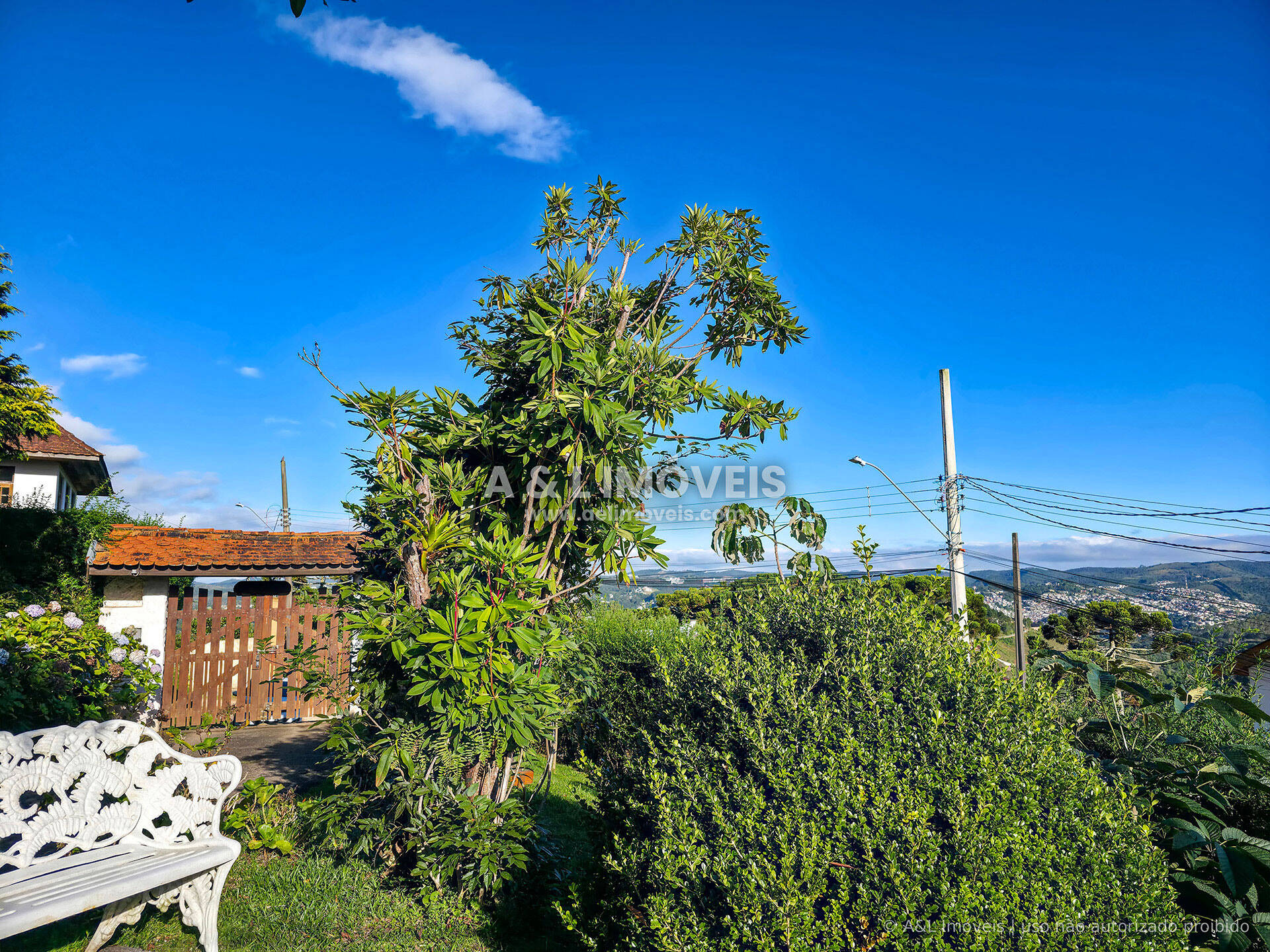 Casa, 4 quartos, 278 m² - Foto 4