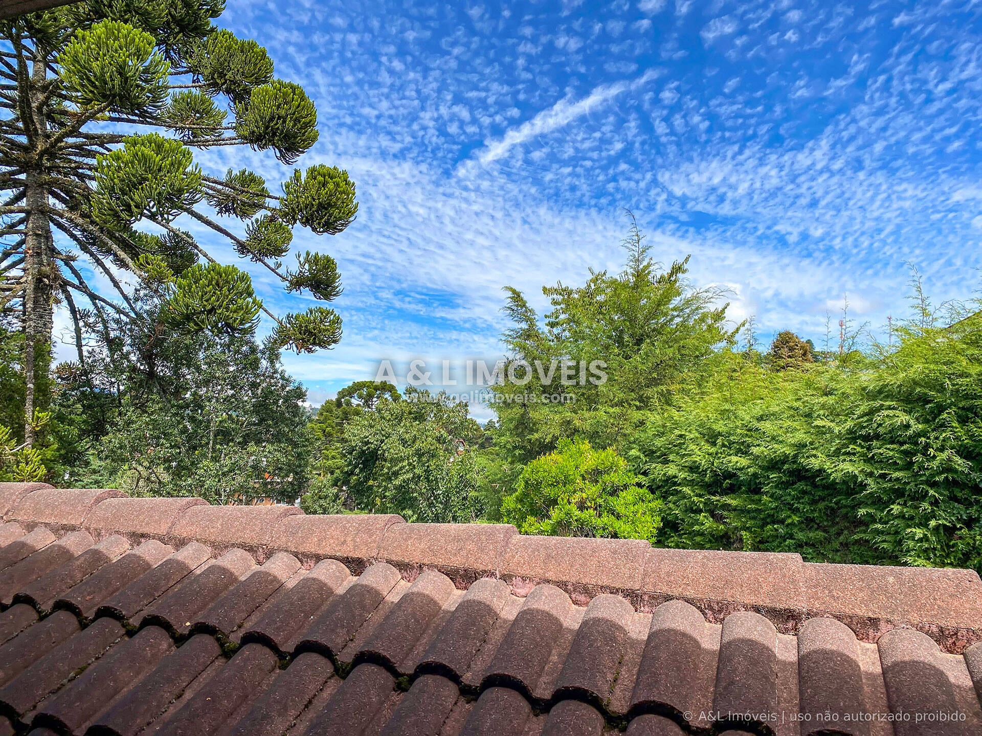 Casa, 3 quartos, 228 m² - Foto 43