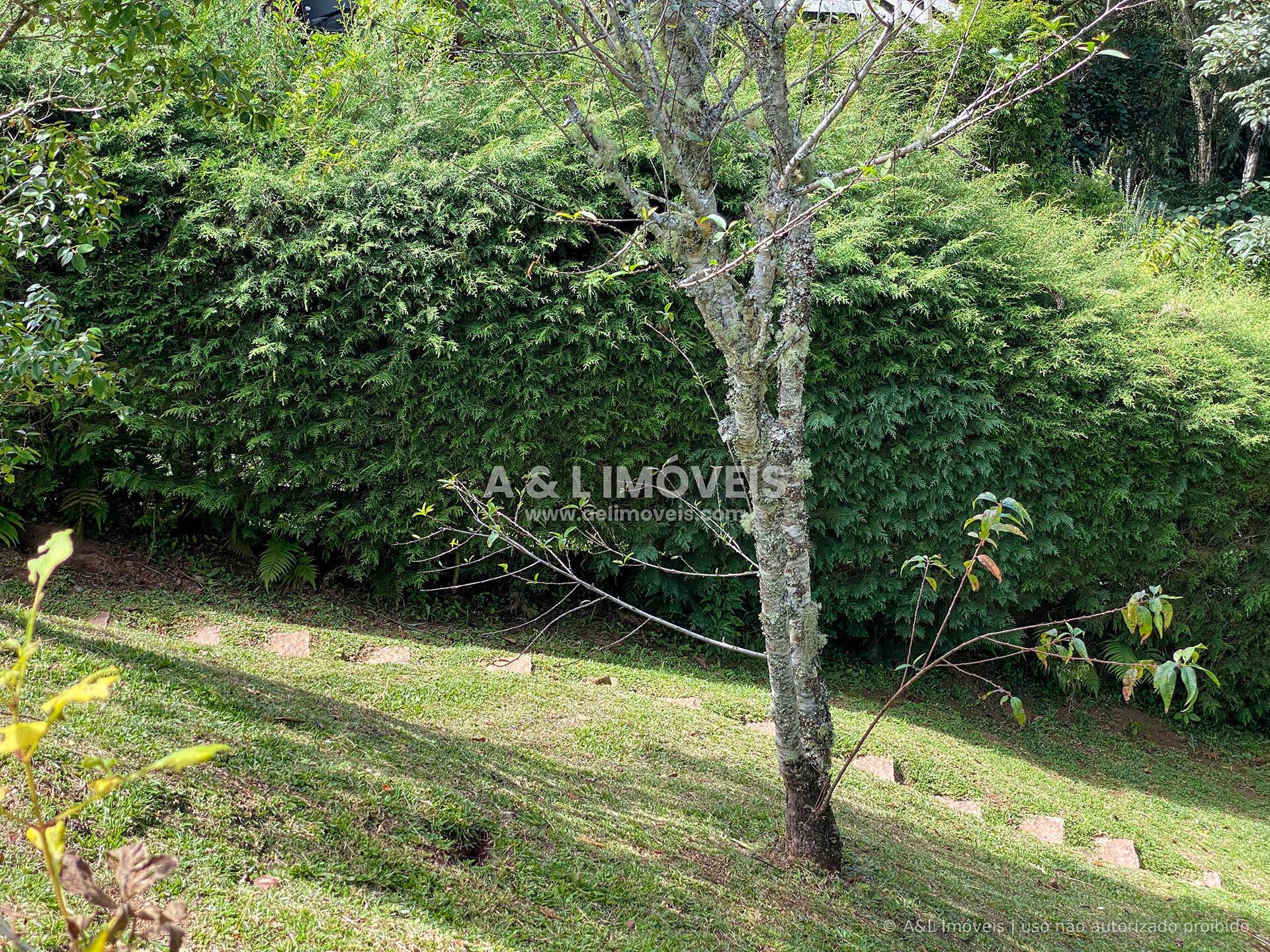 Casa, 3 quartos, 228 m² - Foto 46