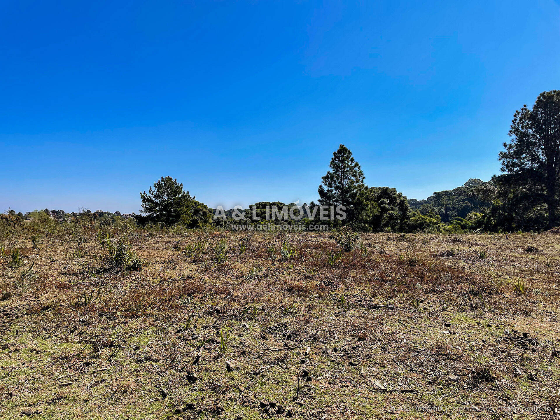 Terreno, 5268 m² - Foto 6