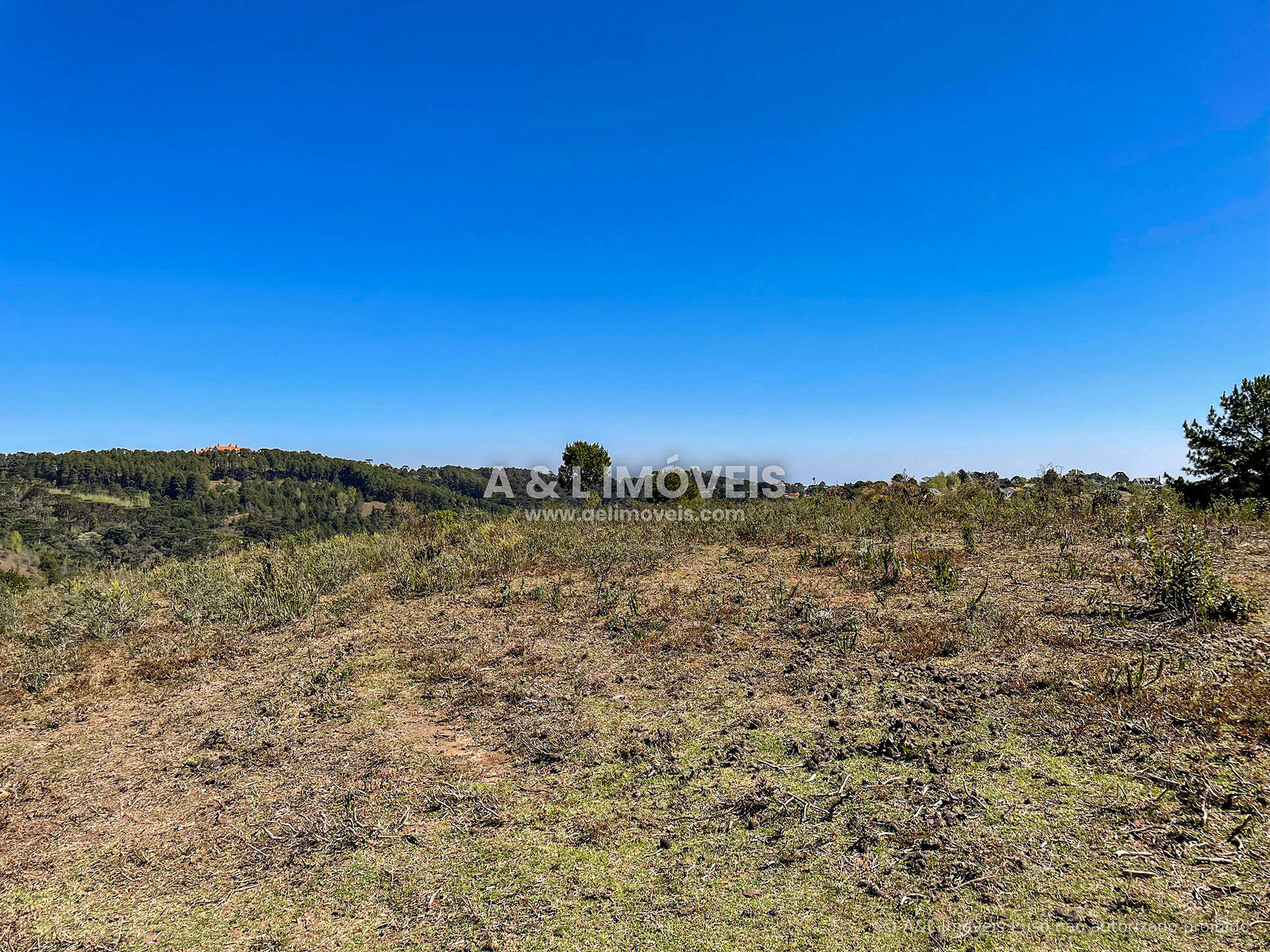 Terreno, 5268 m² - Foto 7