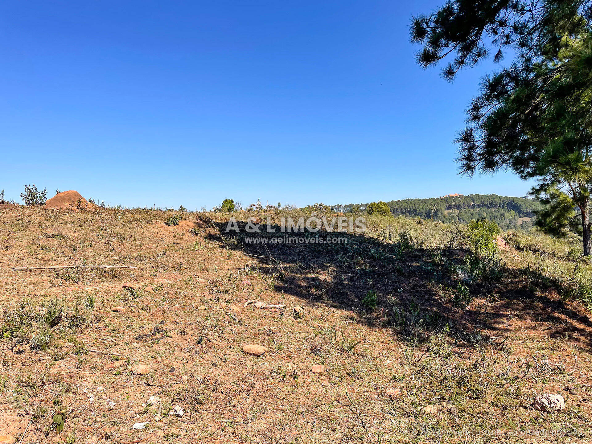 Terreno, 5268 m² - Foto 11