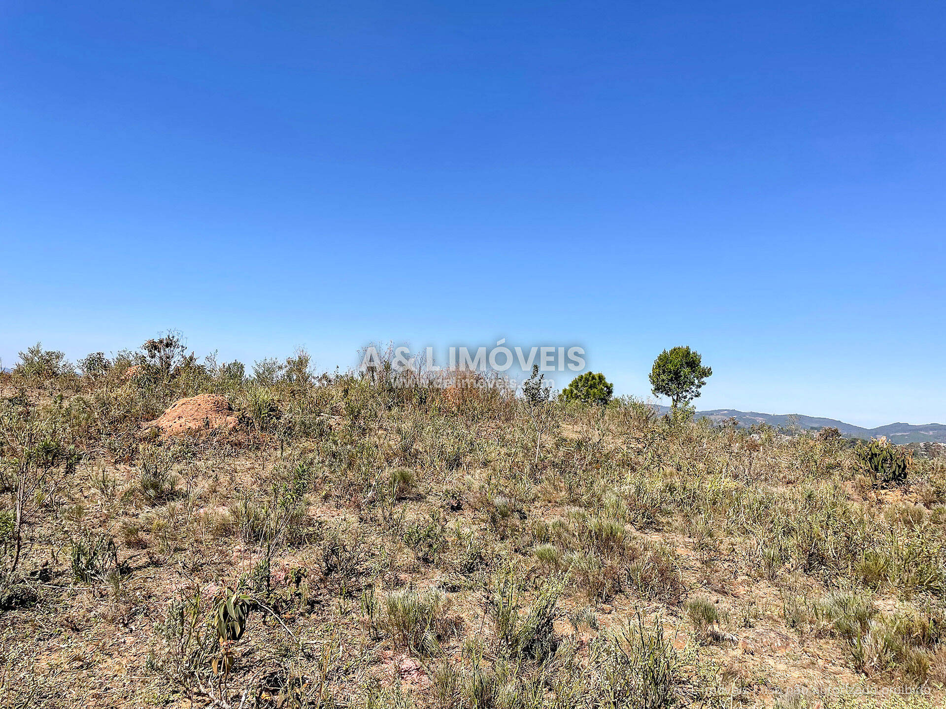 Terreno, 5268 m² - Foto 17