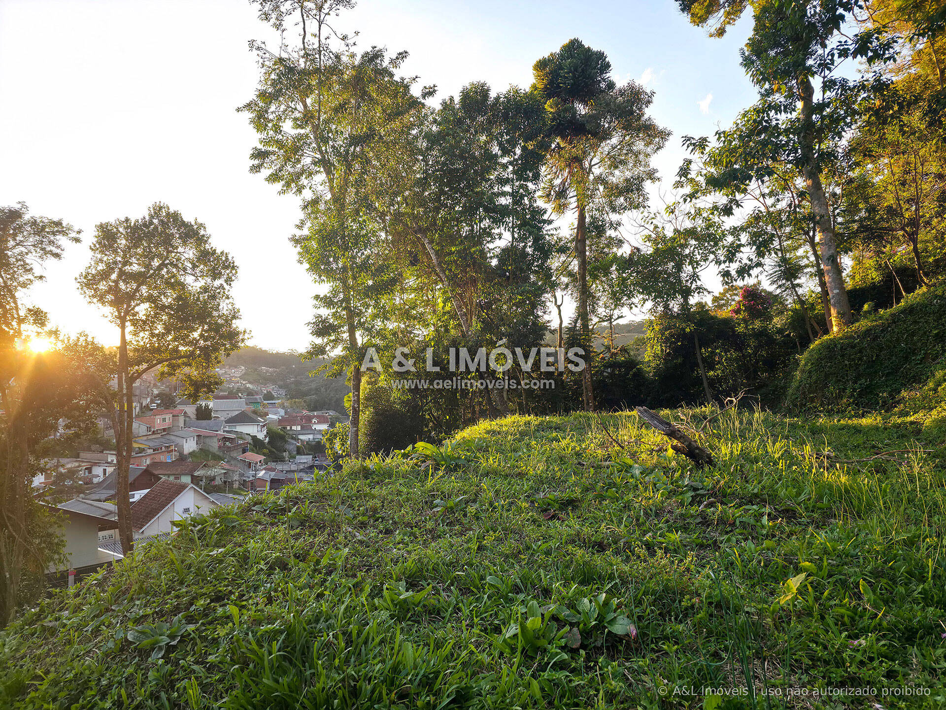 Terreno, 630 m² - Foto 6