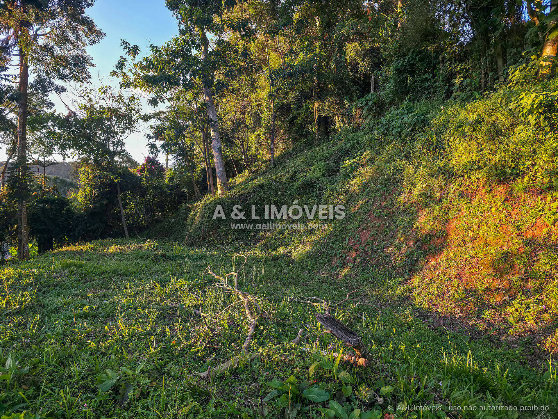 Terreno, 630 m² - Foto 8