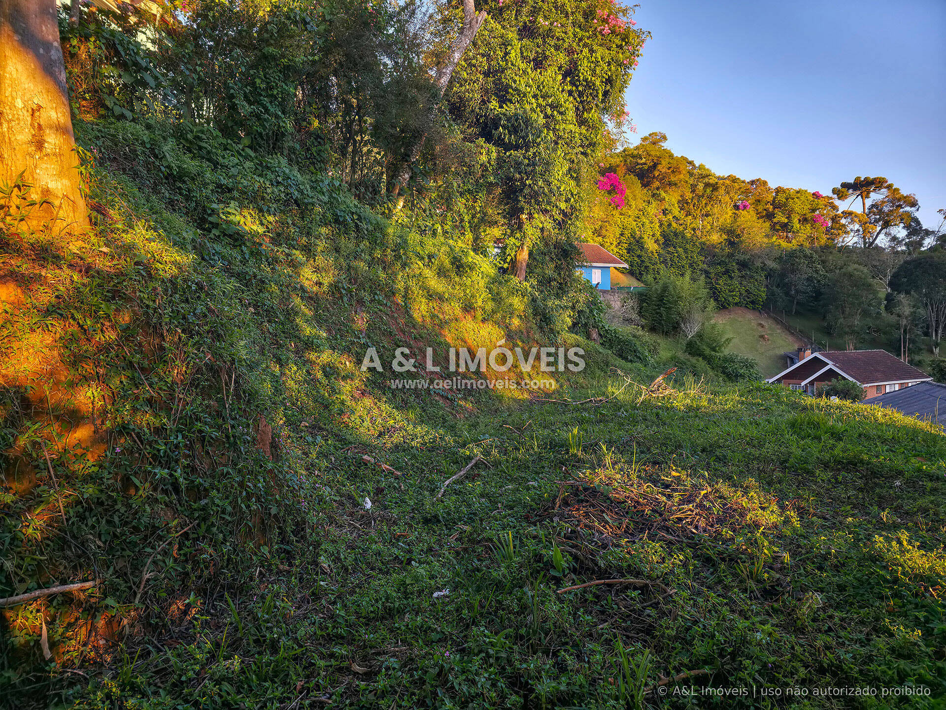 Terreno, 630 m² - Foto 9
