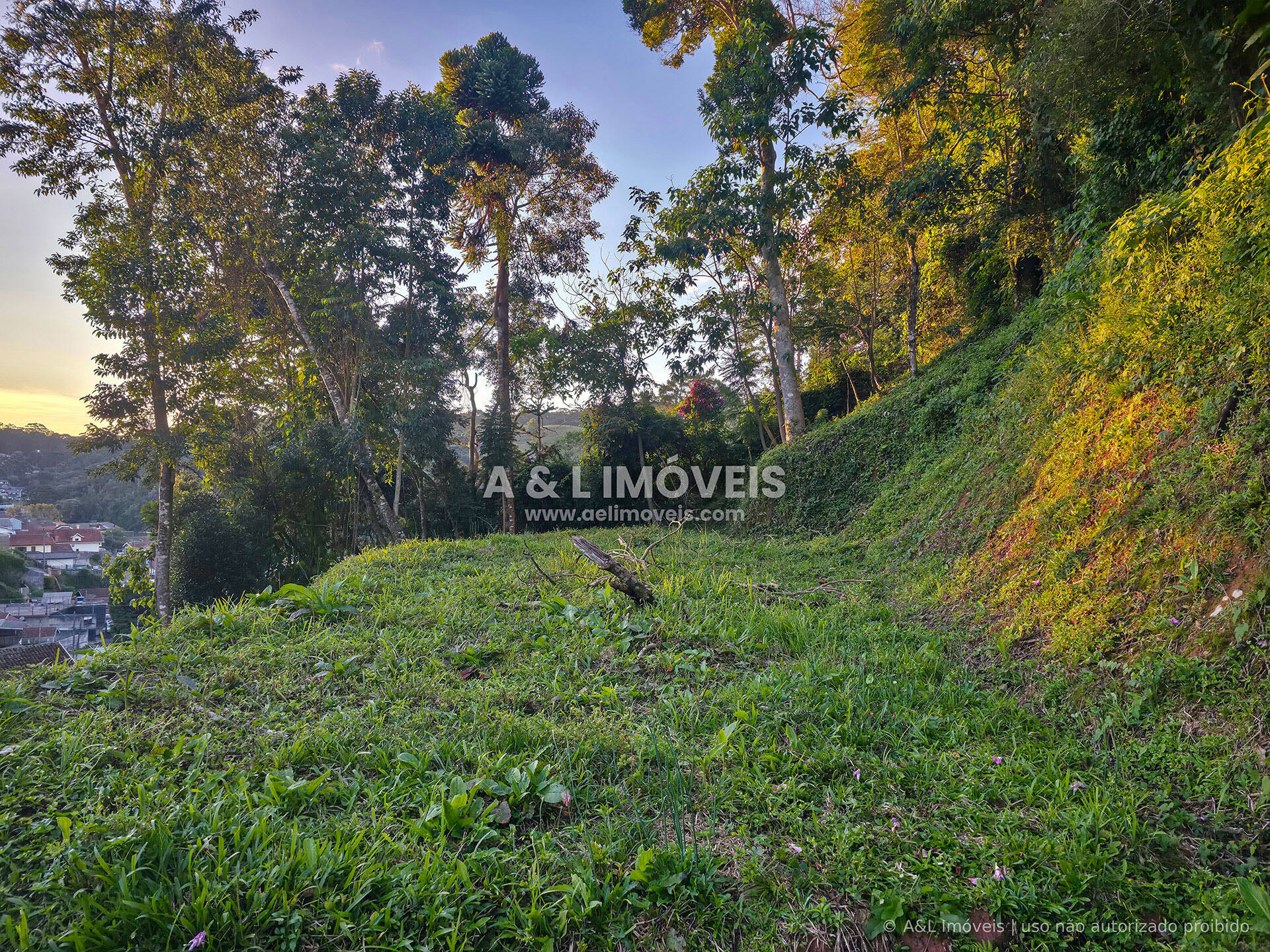 Terreno, 630 m² - Foto 11