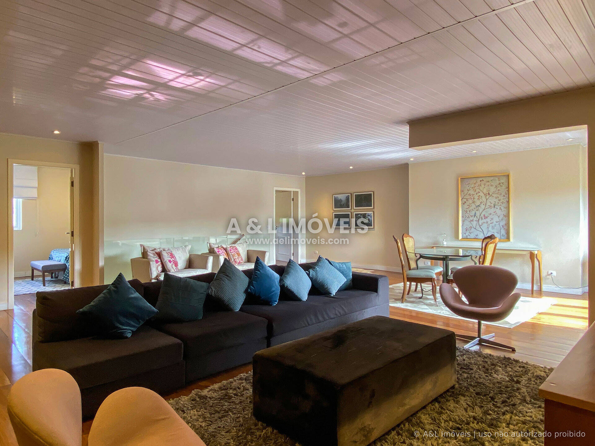Apartamento, 6 quartos, 250 m² - Foto 39