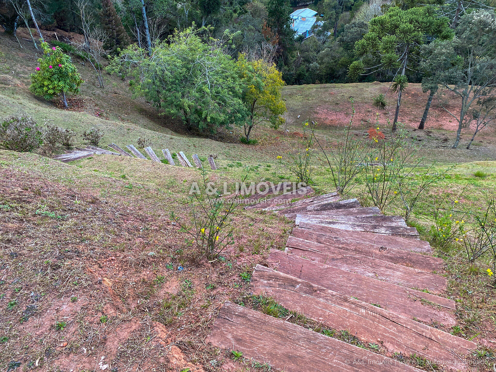 Terreno, 6111 m² - Foto 6