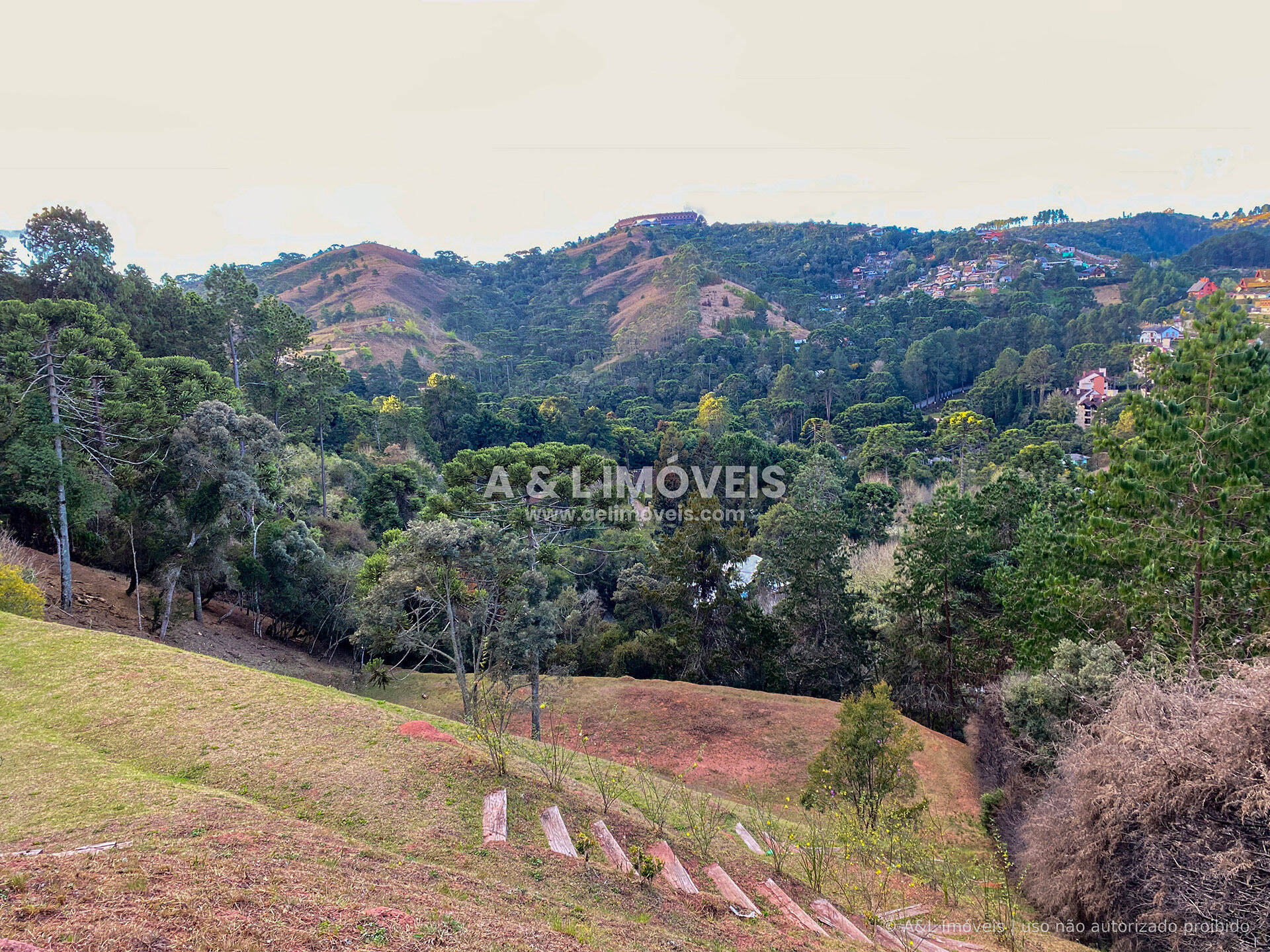 Terreno, 6111 m² - Foto 7