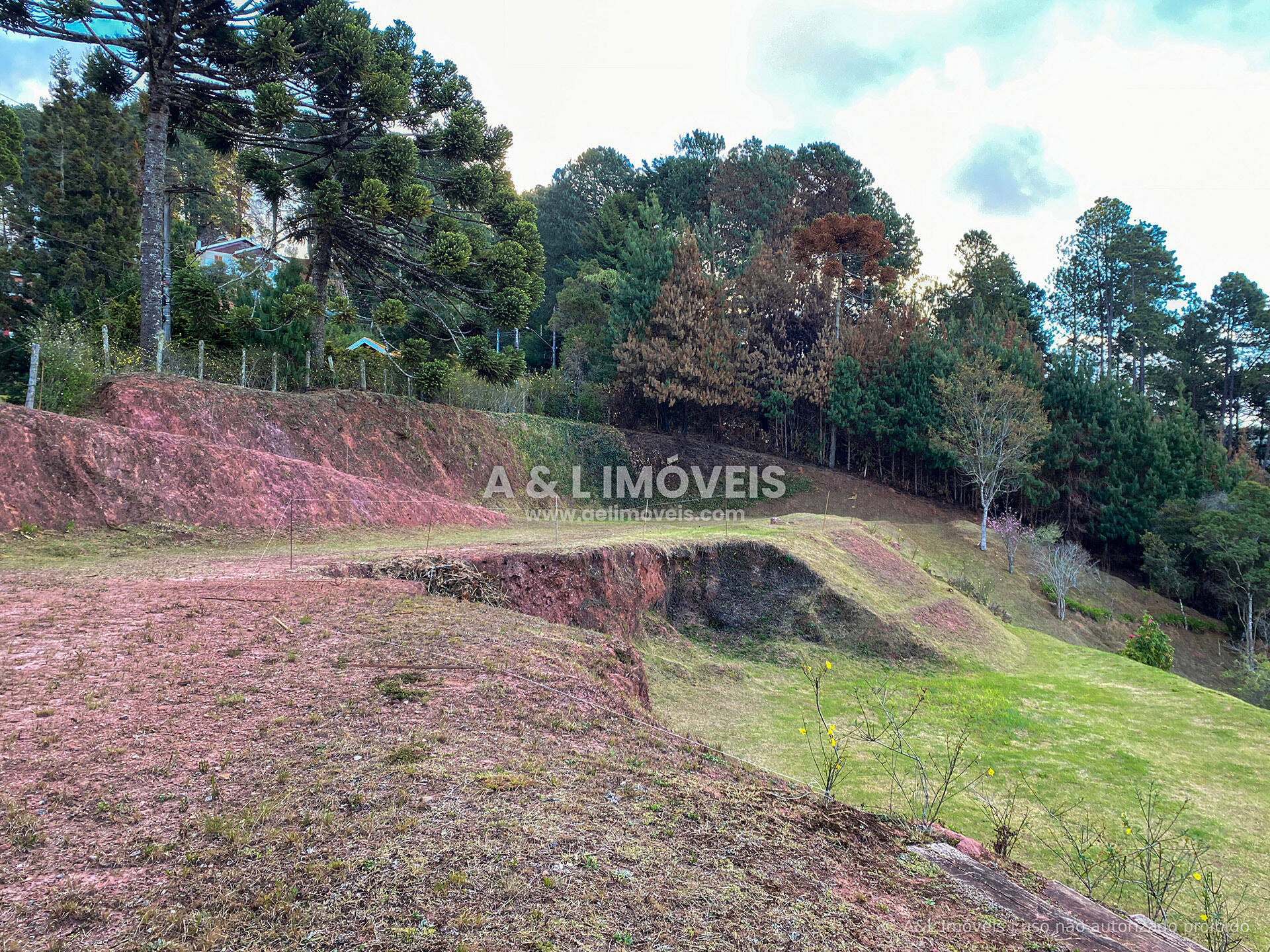 Terreno, 6111 m² - Foto 12