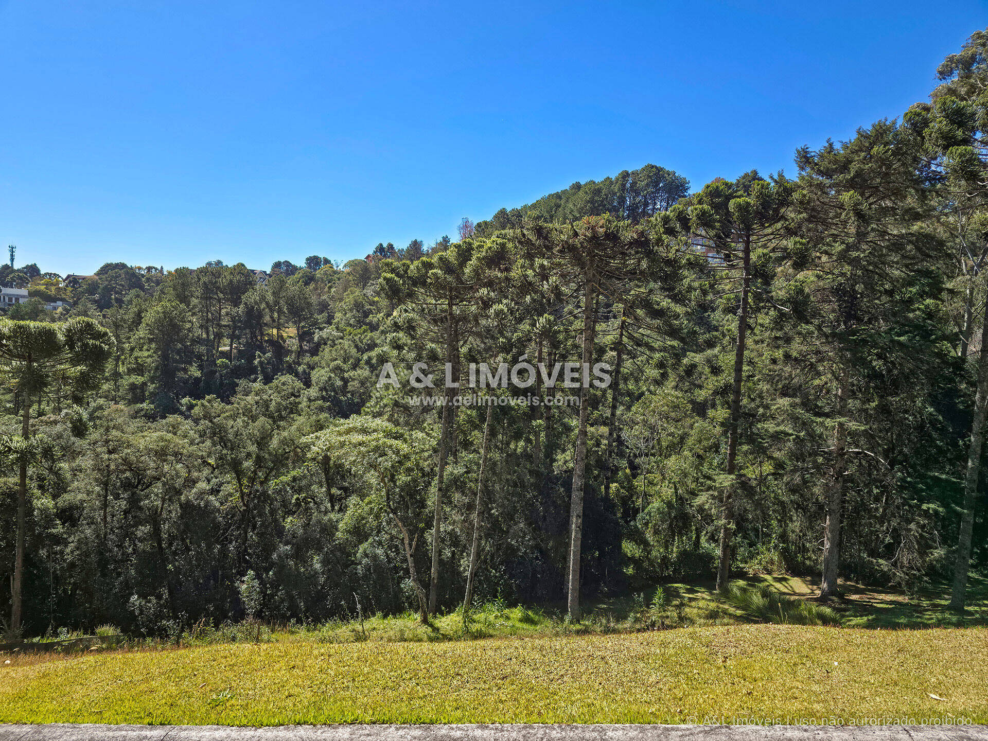 Terreno, 1146 m² - Foto 1