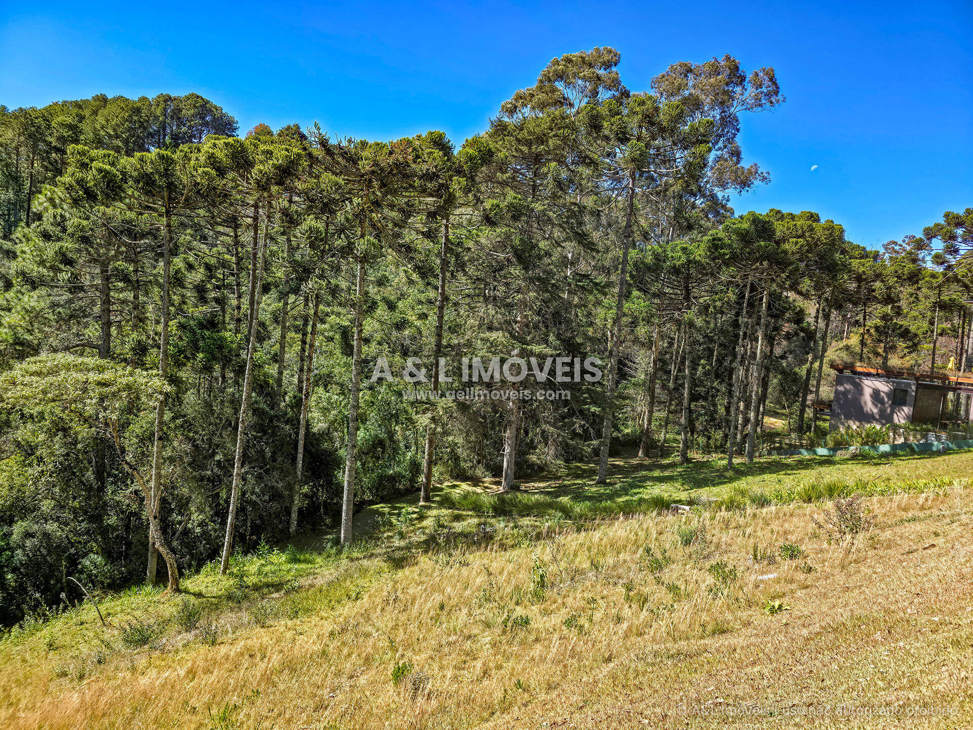 Terreno, 1146 m² - Foto 2