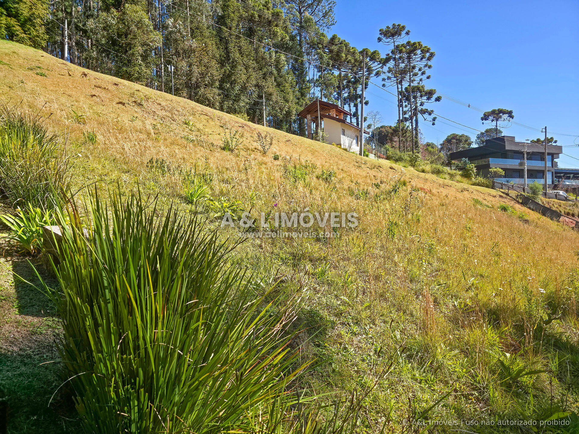 Terreno, 1146 m² - Foto 5