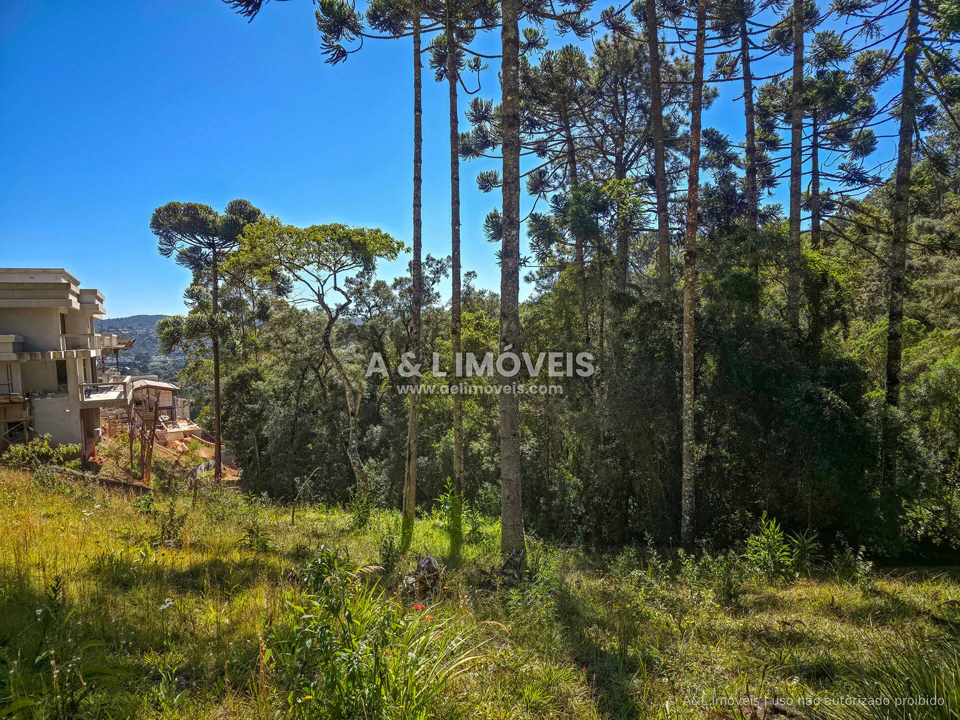 Terreno, 1146 m² - Foto 6