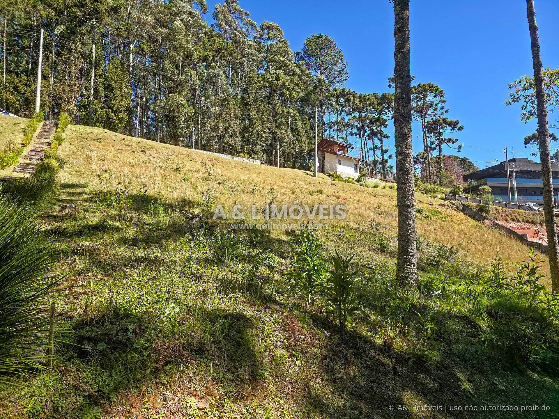 Terreno, 1146 m² - Foto 7