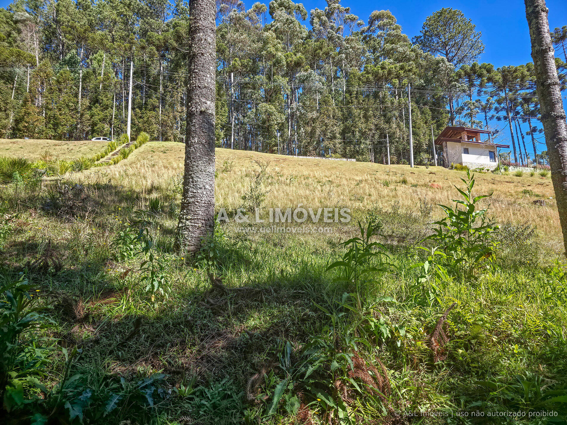 Terreno, 1146 m² - Foto 8