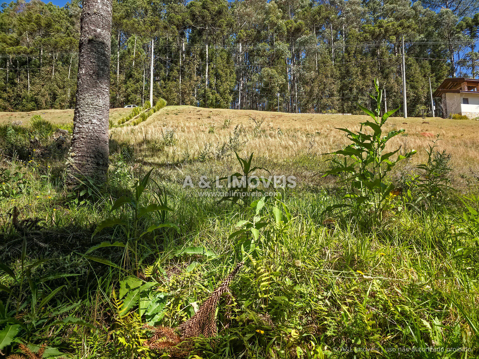 Terreno, 1146 m² - Foto 9