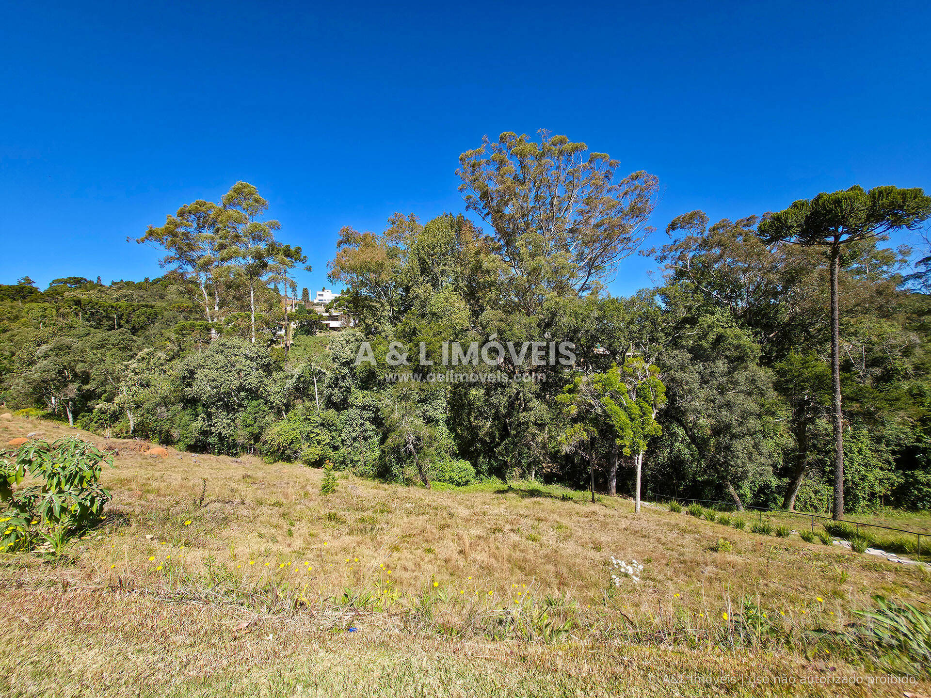 Terreno, 1128 m² - Foto 2