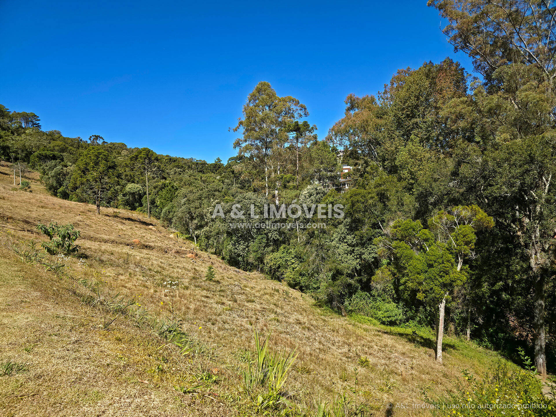 Terreno, 1128 m² - Foto 3