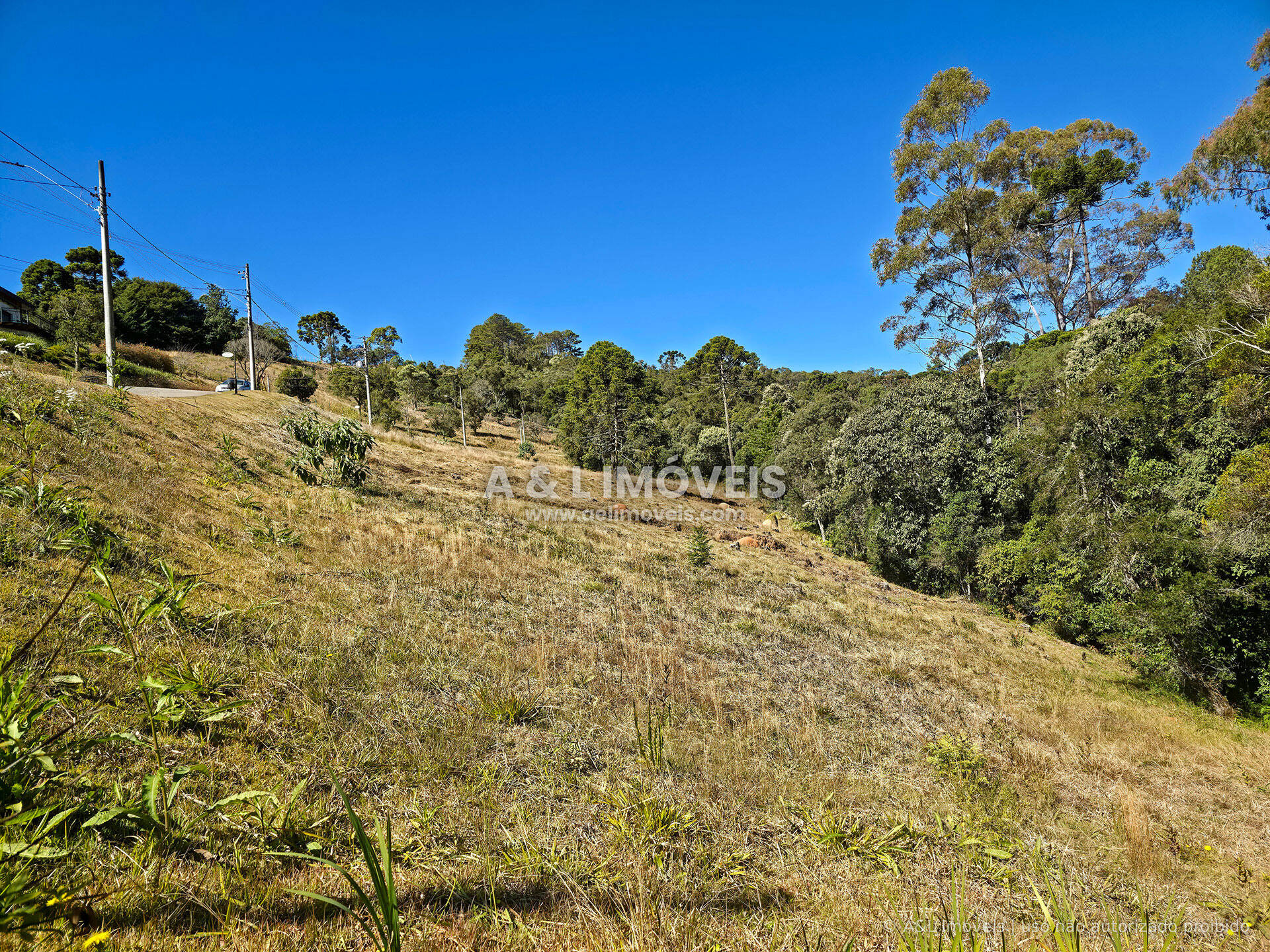 Terreno, 1128 m² - Foto 4