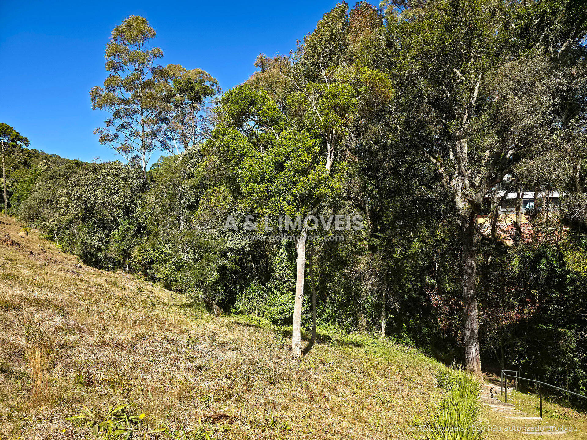 Terreno, 1128 m² - Foto 5