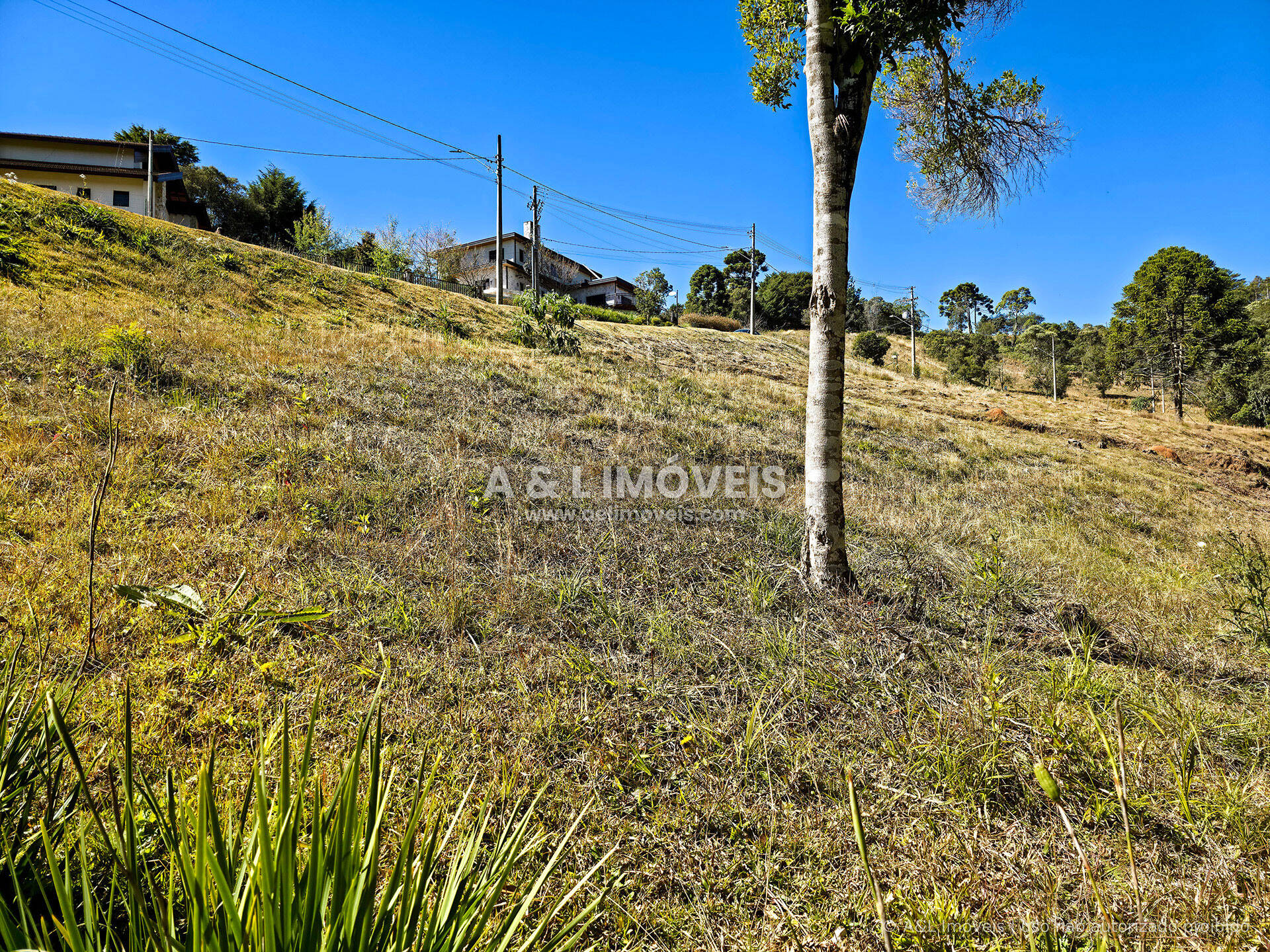 Terreno, 1128 m² - Foto 6
