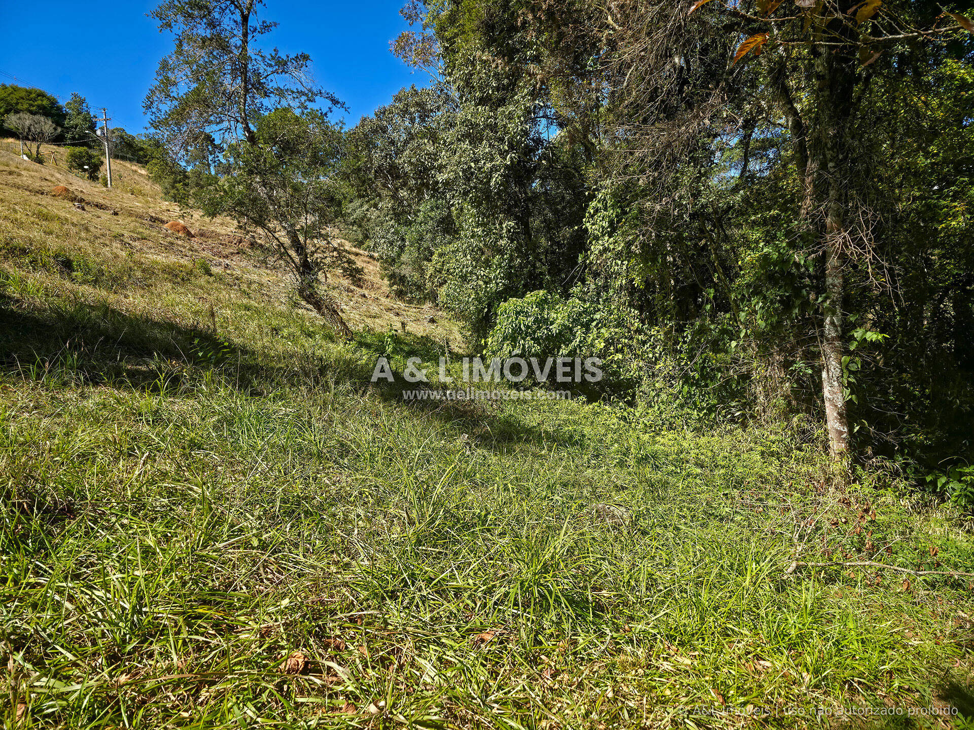 Terreno, 1128 m² - Foto 7