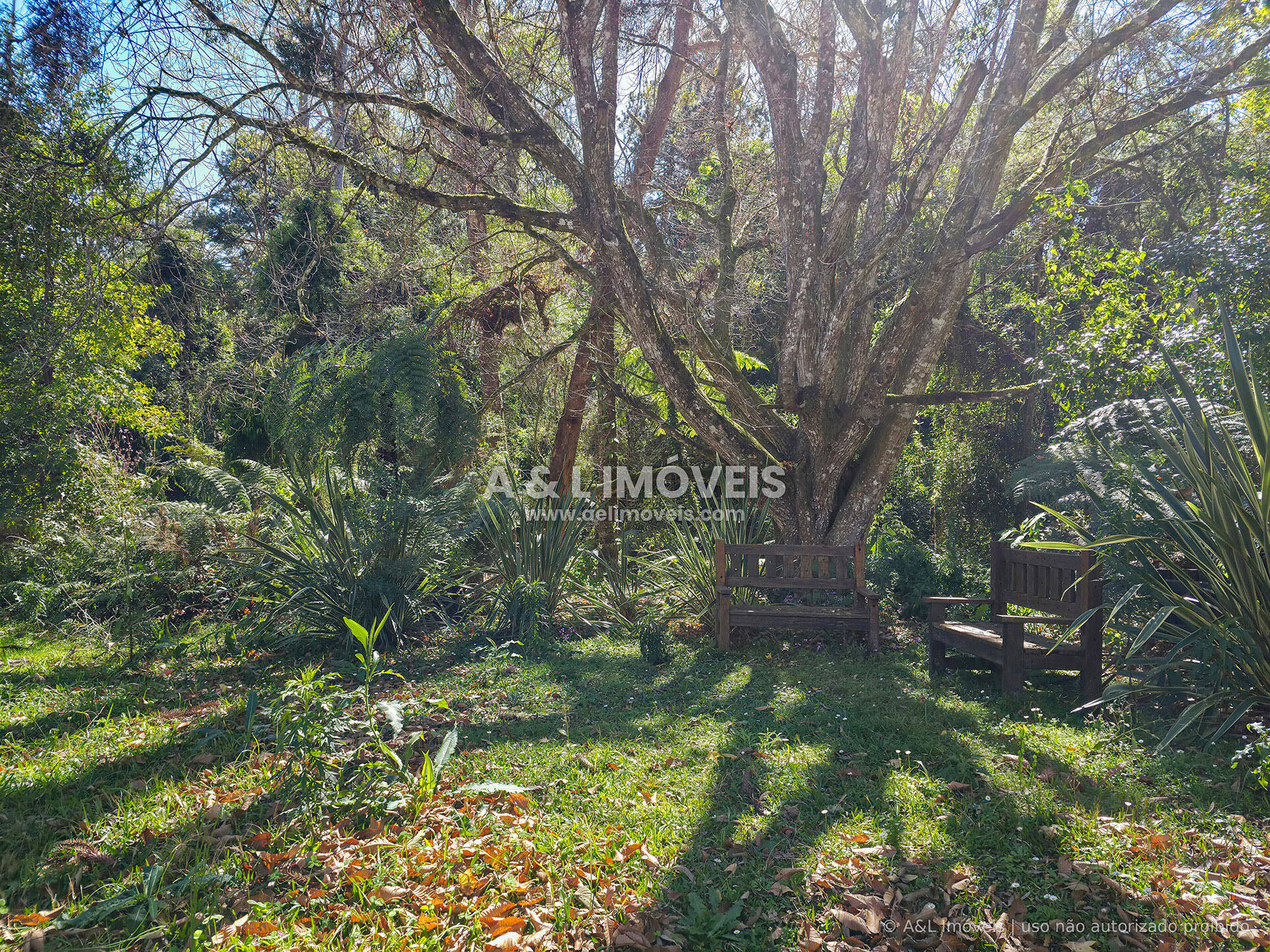 Terreno, 1128 m² - Foto 19