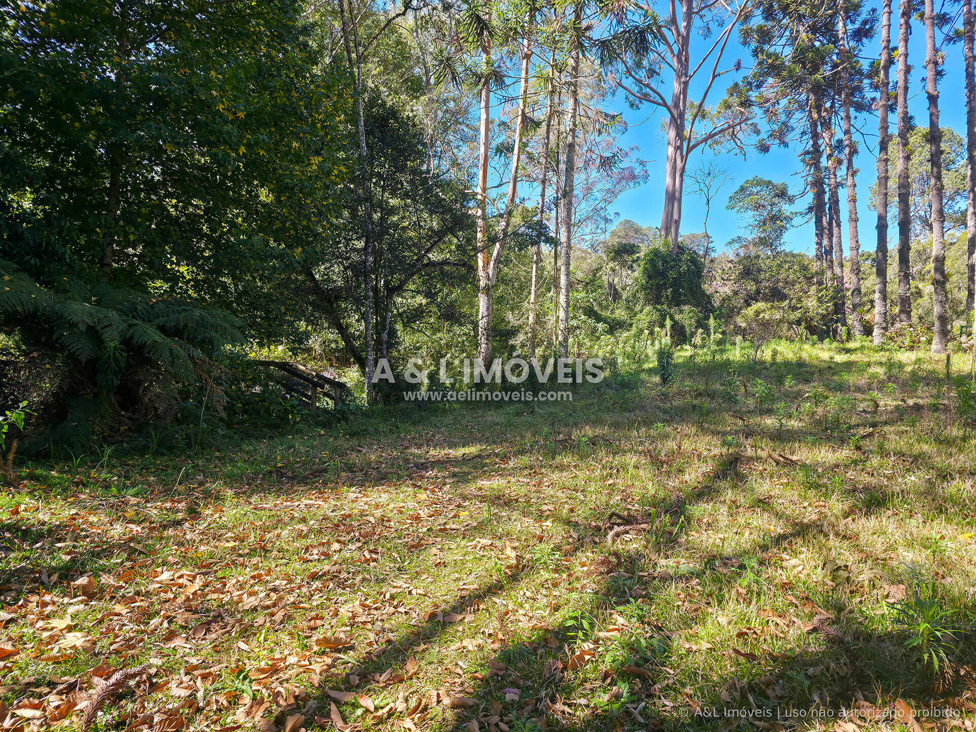 Terreno, 1128 m² - Foto 18