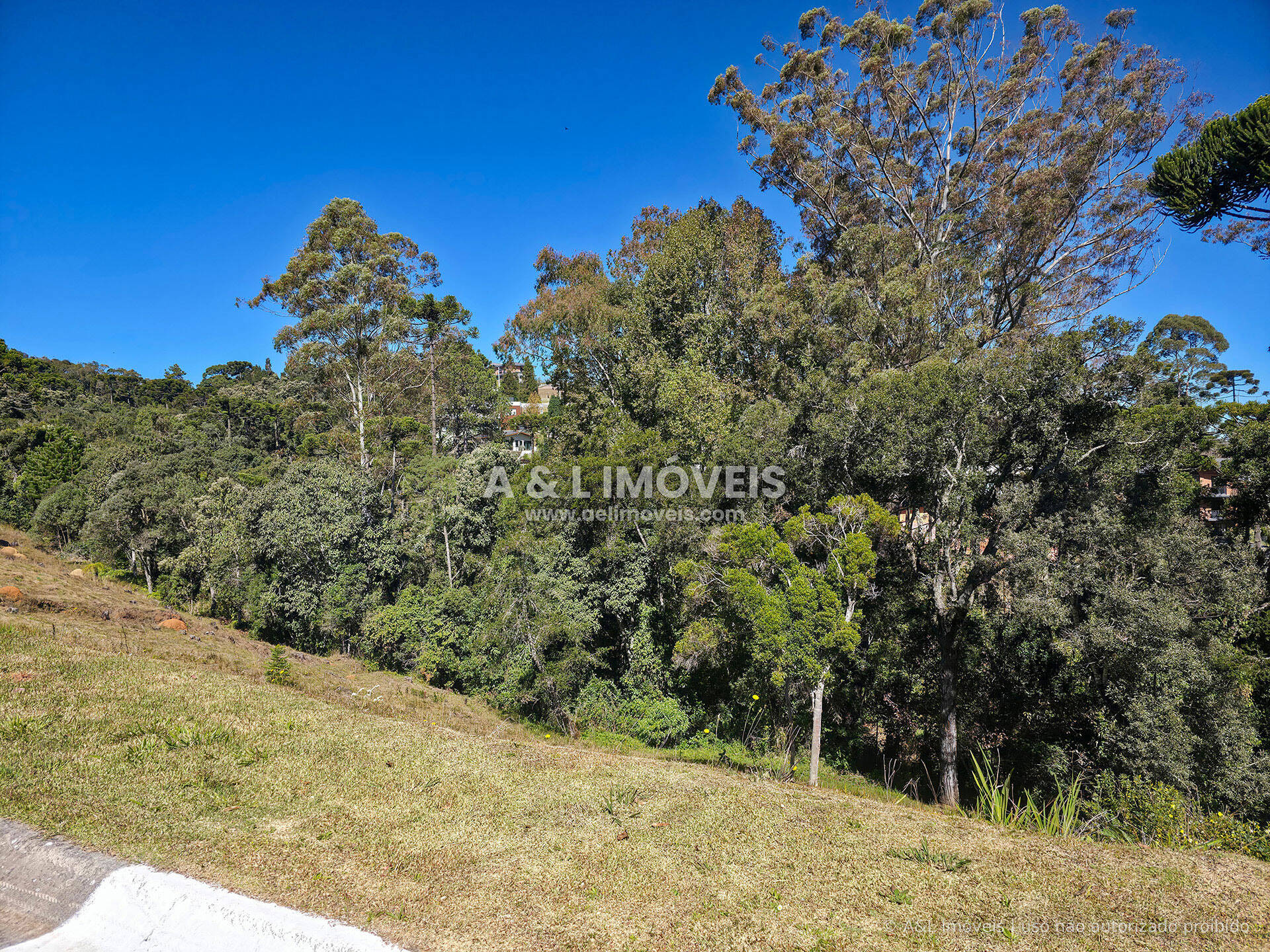 Terreno, 1128 m² - Foto 10