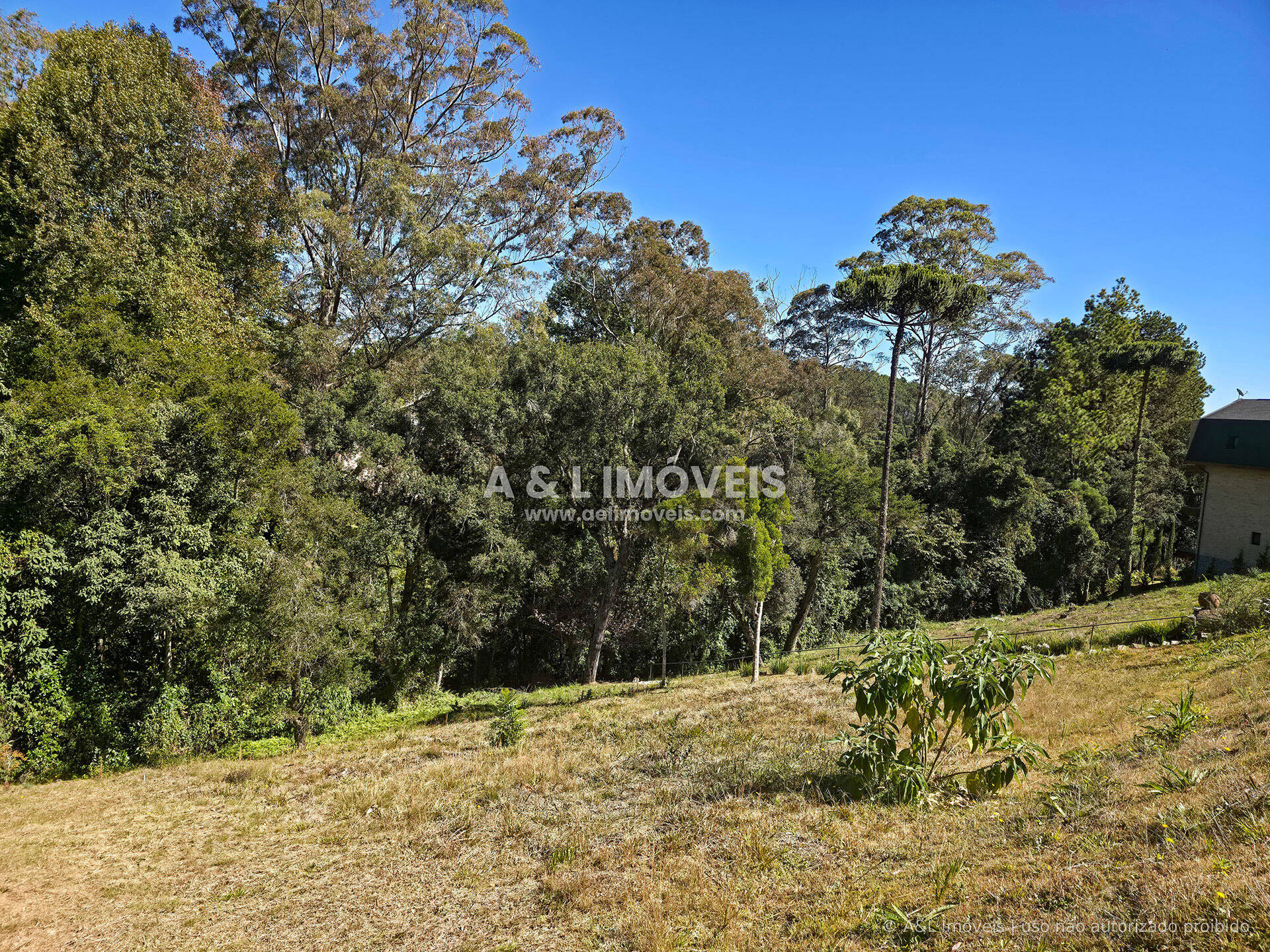 Terreno, 1128 m² - Foto 11
