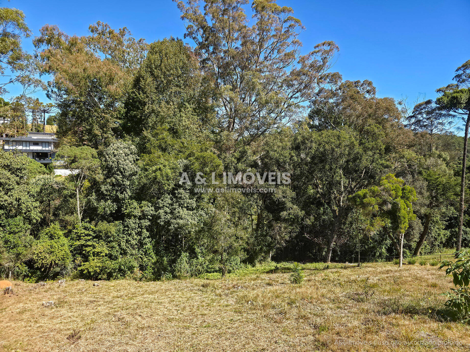 Terreno, 1128 m² - Foto 12