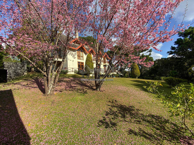 #26 - Casa para Venda em Campos do Jordão - SP - 3