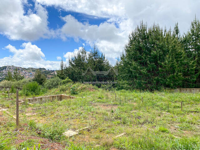 Terreno para Venda em Campos do Jordão - 4