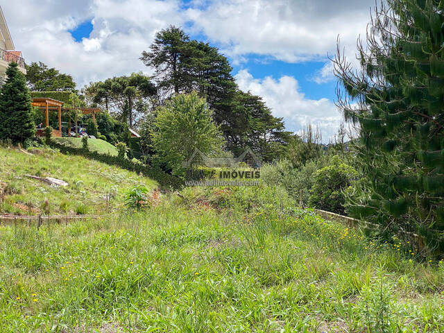 Terreno para Venda em Campos do Jordão - 5