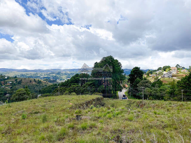 Venda em Recanto das Araucárias - Campos do Jordão