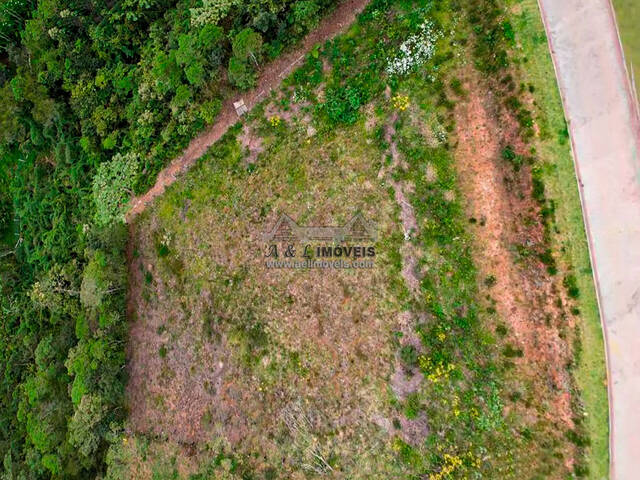 #208 - Terreno em condomínio para Venda em Campos do Jordão - SP - 2