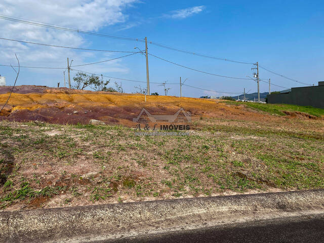 #227 - Terreno para Venda em Taubaté - SP - 3