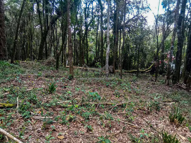 Terreno para Venda em Campos do Jordão - 4